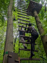 Bild Kletterwald 2