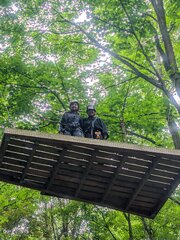 Bild Kletterwald 4