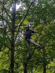 Bild Kletterwald 9